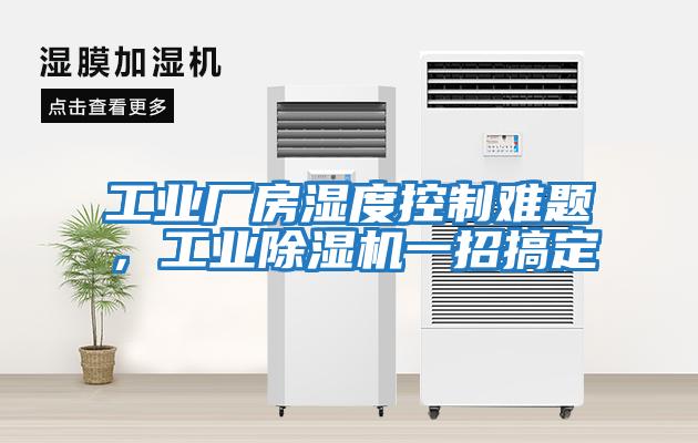 工業廠房濕度控制難題,工業除濕機一招搞定