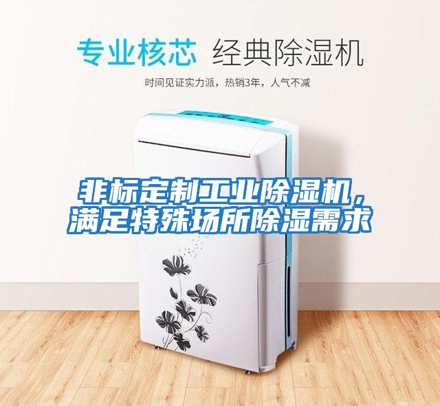非標(biāo)定制工業(yè)除濕機(jī),滿(mǎn)足特殊場(chǎng)所除濕需求