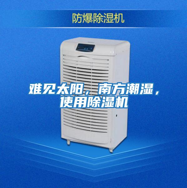 難見太陽，南方潮濕，使用除濕機