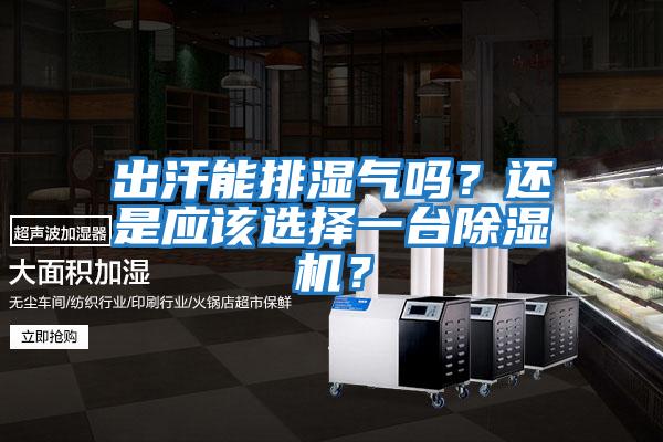 出汗能排濕氣嗎？還是應該選擇一臺除濕機？