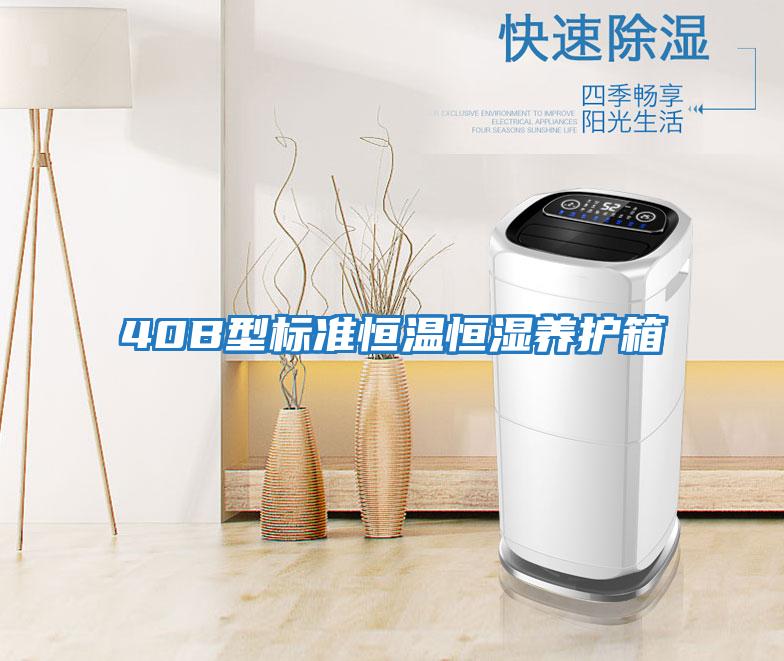 40B型標(biāo)準恒溫恒濕養(yǎng)護箱