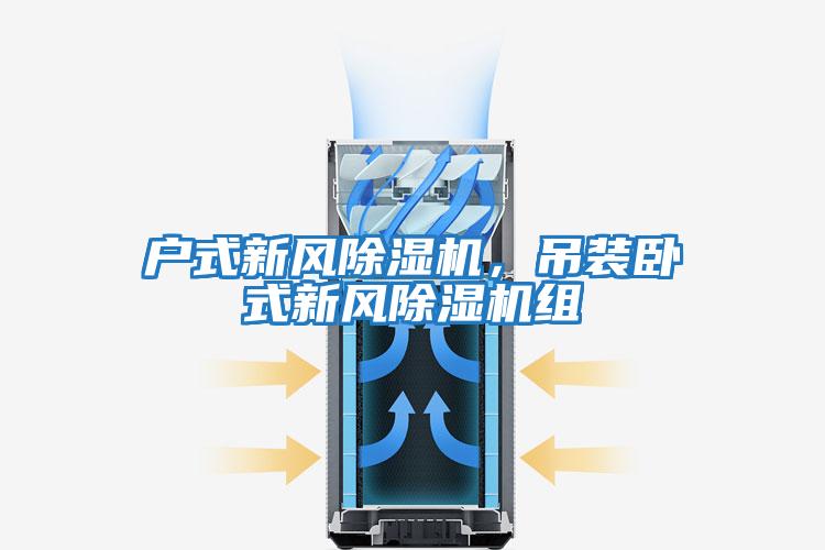戶式新風除濕機,吊裝臥式新風除濕機組