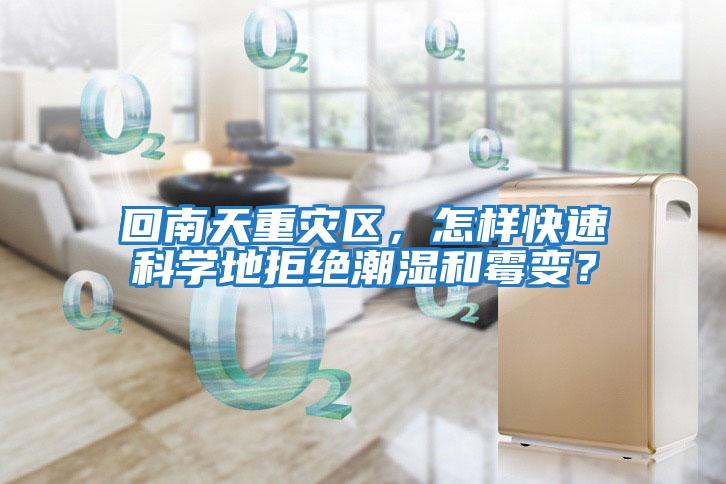 回南天重災(zāi)區(qū),怎樣快速科學(xué)地拒絕潮濕和霉變?