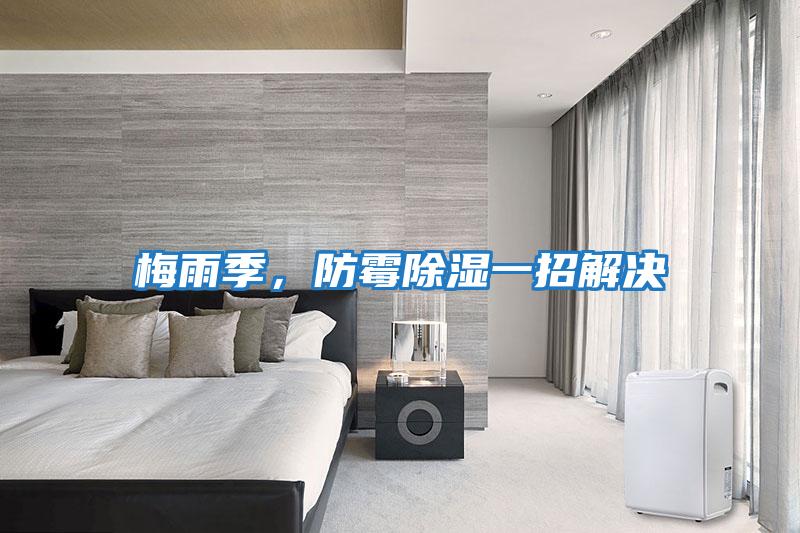 梅雨季,防霉除濕一招解決