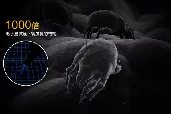 螨蟲高發(fā)季，家用除濕機(jī)除螨有妙計！_重復(fù)