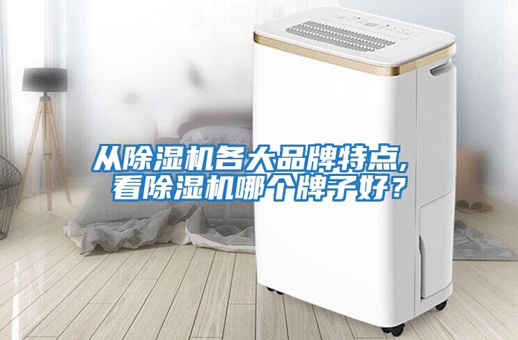 從除濕機(jī)各大品牌特點(diǎn), 看除濕機(jī)哪個(gè)牌子好?