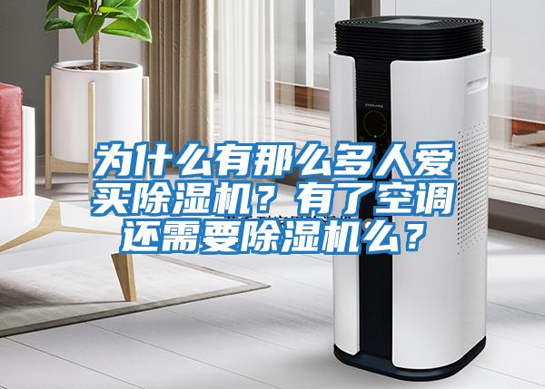 為什么有那么多人愛買除濕機？有了空調還需要除濕機么？