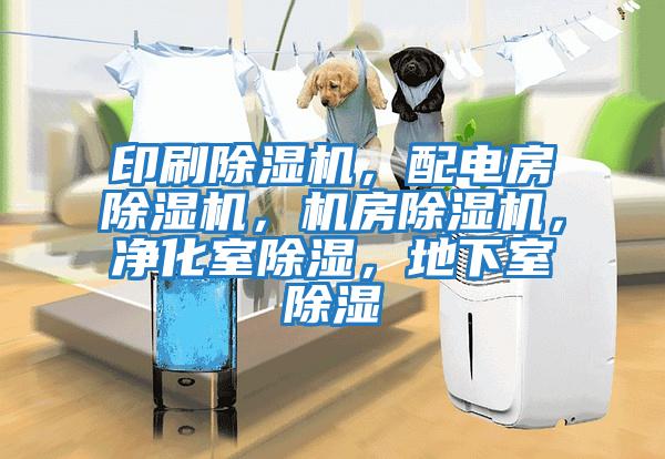 印刷除濕機，配電房除濕機，機房除濕機，凈化室除濕，地下室除濕