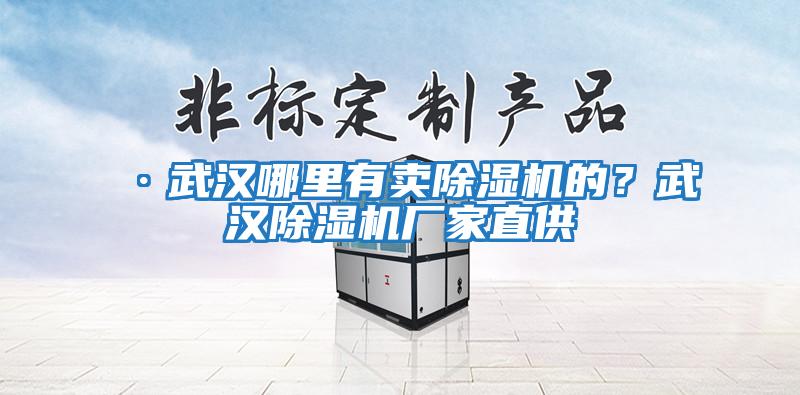 ·武漢哪里有賣(mài)除濕機(jī)的?武漢除濕機(jī)廠家直供