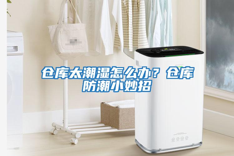 倉庫太潮濕怎么辦?倉庫防潮小妙招