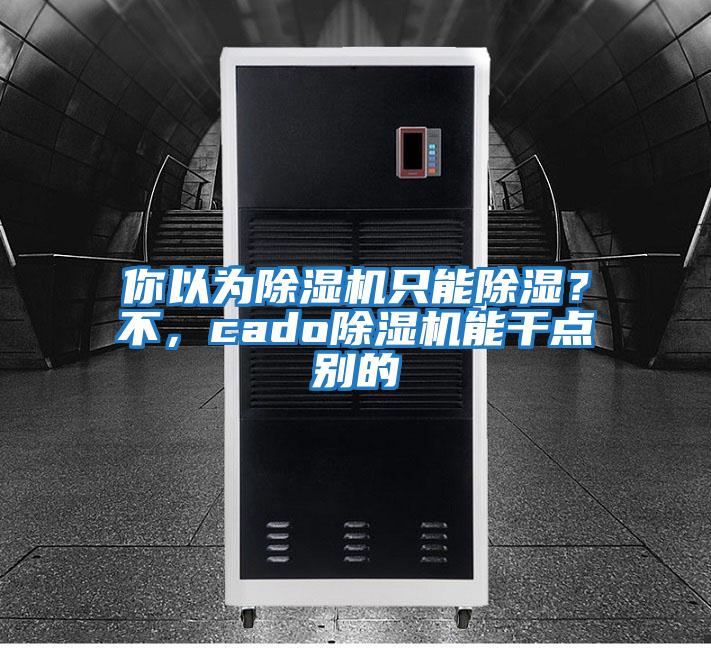 你以為除濕機(jī)只能除濕？不，cado除濕機(jī)能干點(diǎn)別的