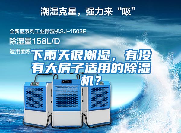 下雨天很潮濕,有沒有大房子適用的除濕機?