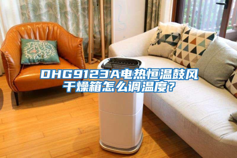 DHG9123A電熱恒溫鼓風干燥箱怎么調溫度？