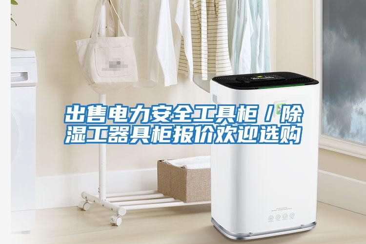 出售電力安全工具柜/除濕工器具柜報(bào)價(jià)歡迎選購