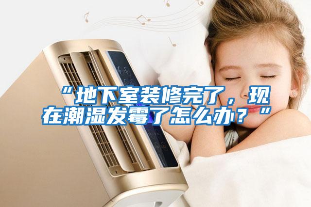 “地下室裝修完了,現在潮濕發霉了怎么辦?”