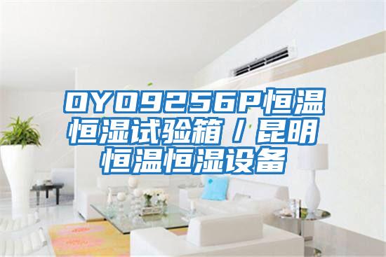 OYO9256P恒溫恒濕試驗箱/昆明恒溫恒濕設備