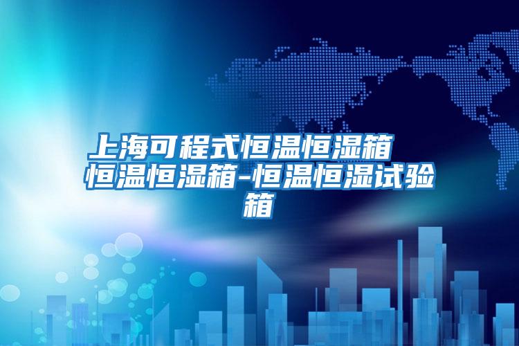 上海可程式恒溫恒濕箱  恒溫恒濕箱-恒溫恒濕試驗箱