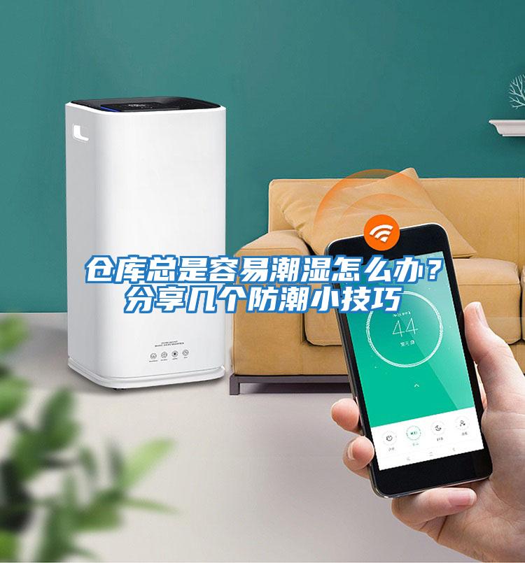 倉(cāng)庫(kù)總是容易潮濕怎么辦?分享幾個(gè)防潮小技巧