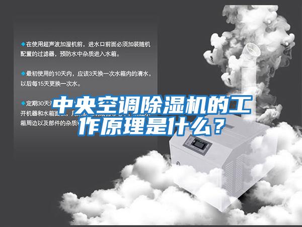 中央空調(diào)除濕機(jī)的工作原理是什么?