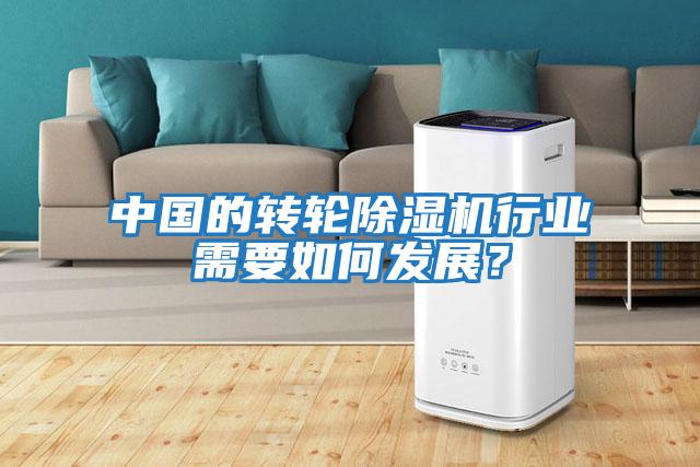 中國的轉(zhuǎn)輪除濕機(jī)行業(yè)需要如何發(fā)展?