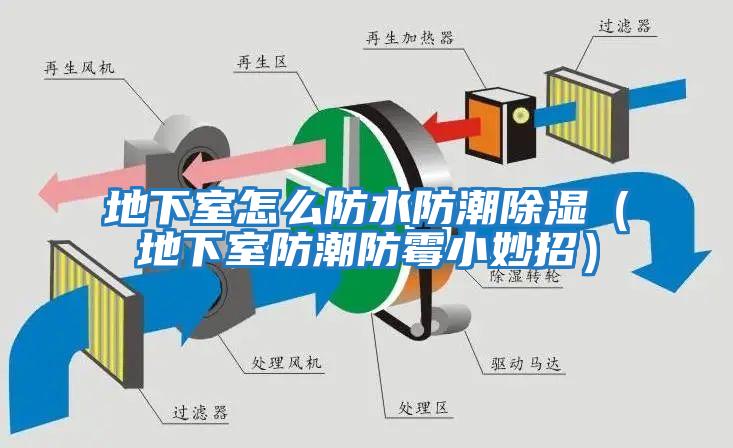 地下室怎么防水防潮除濕(地下室防潮防霉小妙招)