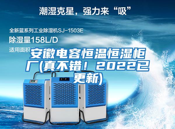 安徽電容恒溫恒濕柜廠(真不錯!2022已更新)