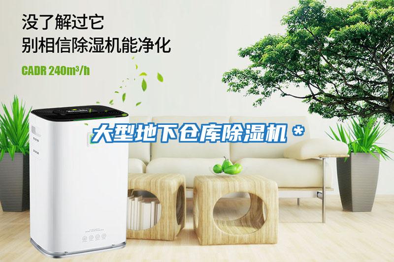 大型地下倉庫除濕機*