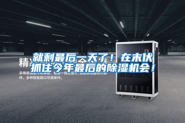 就剩最后一天了！在末伏抓住今年最后的除濕機(jī)會！