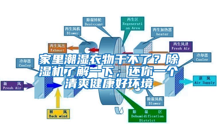 家里潮濕衣物干不了？除濕機了解一下，還你一個清爽健康好環境