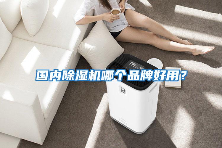 國內除濕機哪個品牌好用?