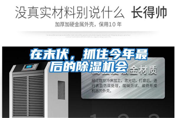 在末伏,抓住今年最后的除濕機會
