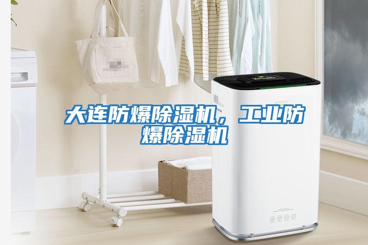 大連防爆除濕機,工業防爆除濕機