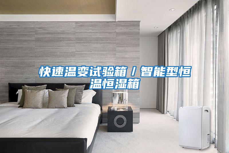 快速溫變試驗箱/智能型恒溫恒濕箱