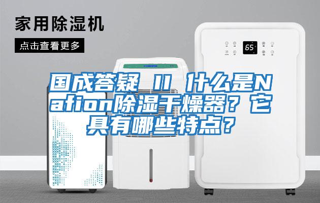 國成答疑 II 什么是Nafion除濕干燥器?它具有哪些特點?