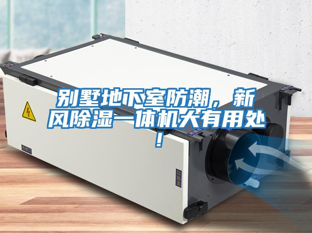 別墅地下室防潮,新風除濕一體機大有用處!
