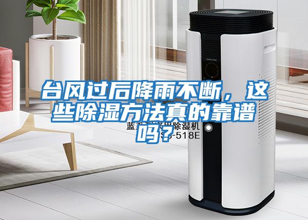 臺風過后降雨不斷,這些除濕方法真的靠譜嗎?