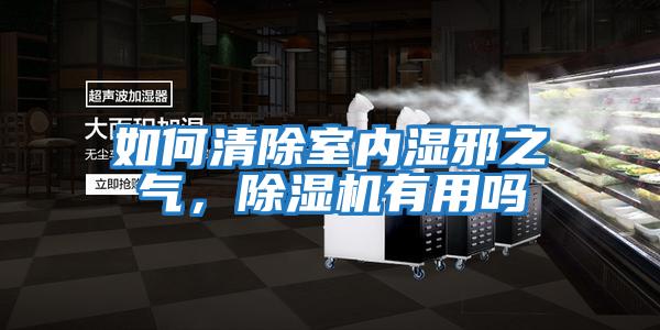 如何清除室內(nèi)濕邪之氣,除濕機有用嗎