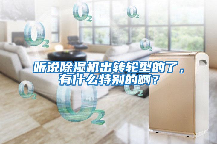 聽說除濕機(jī)出轉(zhuǎn)輪型的了,有什么特別的啊?