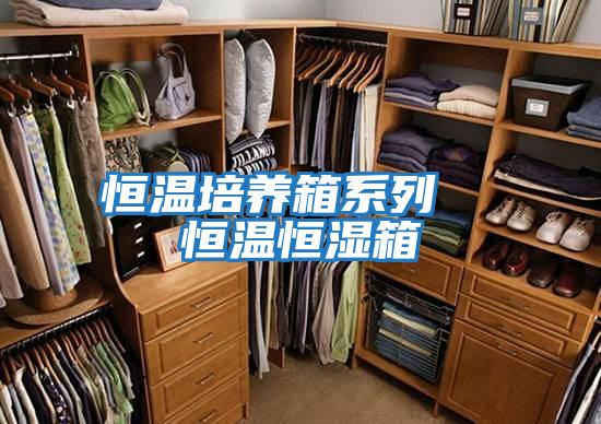 恒溫培養箱系列  恒溫恒濕箱