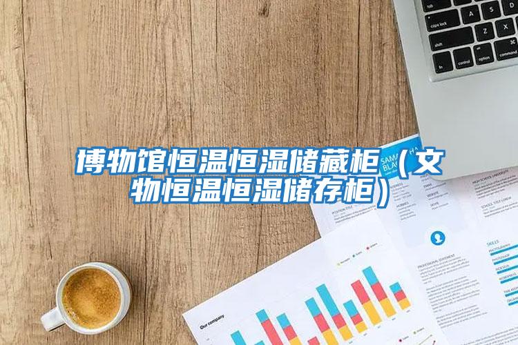 博物館恒溫恒濕儲藏柜(文物恒溫恒濕儲存柜)