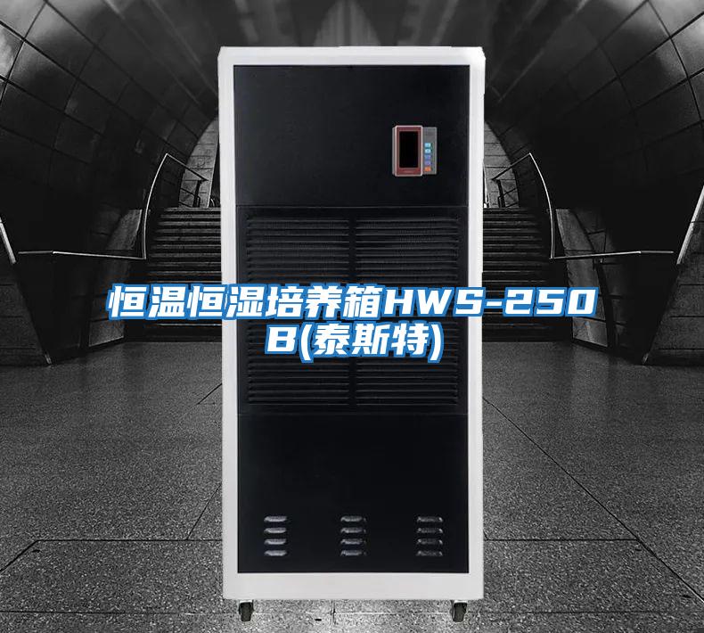 恒溫恒濕培養箱HWS-250B(泰斯特)