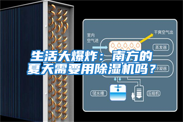 生活大爆炸：南方的夏天需要用除濕機(jī)嗎？