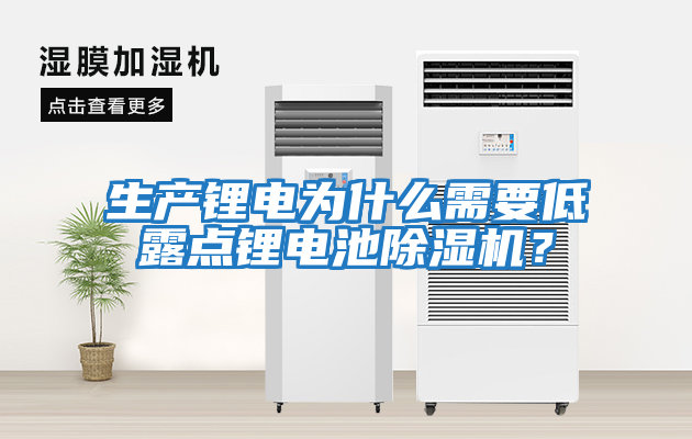 生產(chǎn)鋰電為什么需要低露點鋰電池除濕機(jī)？