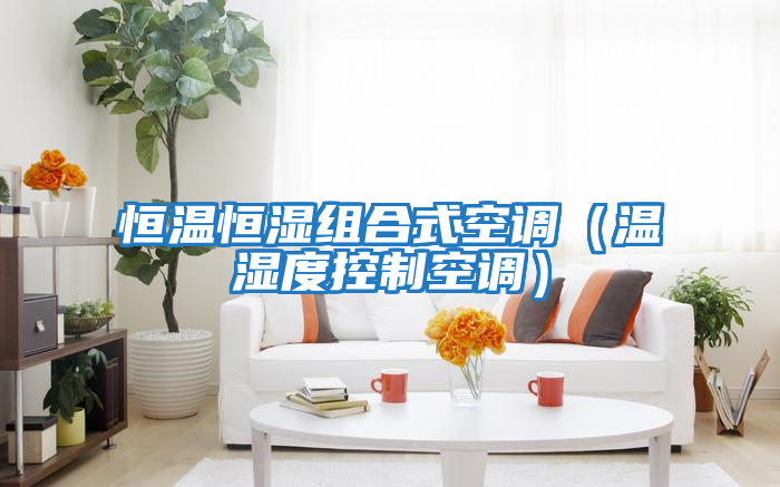 恒溫恒濕組合式空調（溫濕度控制空調）