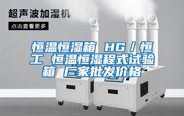 恒溫恒濕箱 HG/恒工 恒溫恒濕程式試驗箱 廠家批發價格
