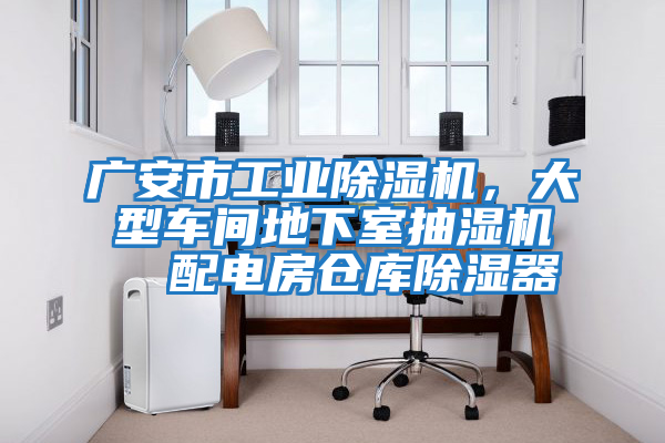 廣安市工業(yè)除濕機,大型車間地下室抽濕機  配電房倉庫除濕器