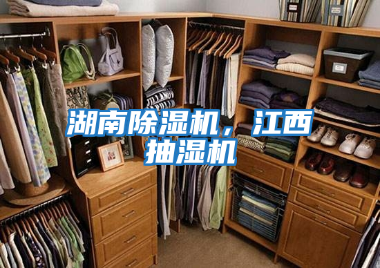 湖南除濕機(jī)，江西抽濕機(jī)