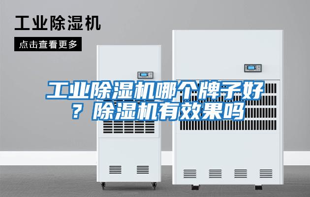 工業除濕機哪個牌子好?除濕機有效果嗎