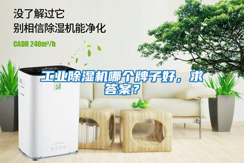 工業(yè)除濕機(jī)哪個(gè)牌子好,求答案?