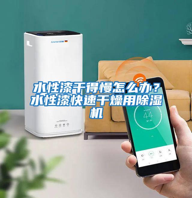 水性漆干得慢怎么辦?水性漆快速干燥用除濕機